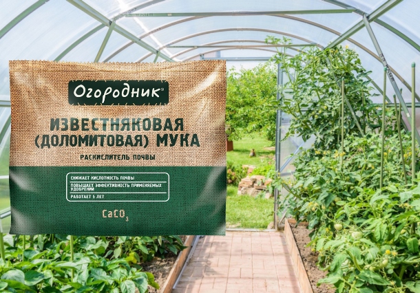 Доломитовая мука